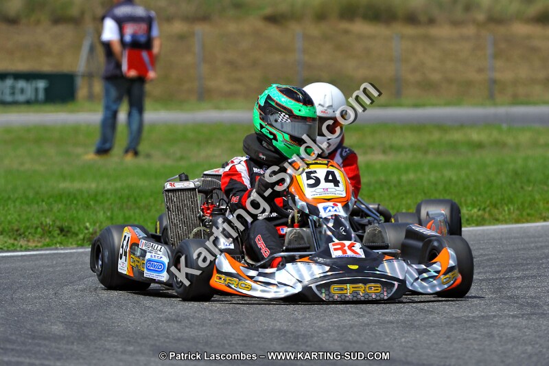 DSC_ (223).jpg